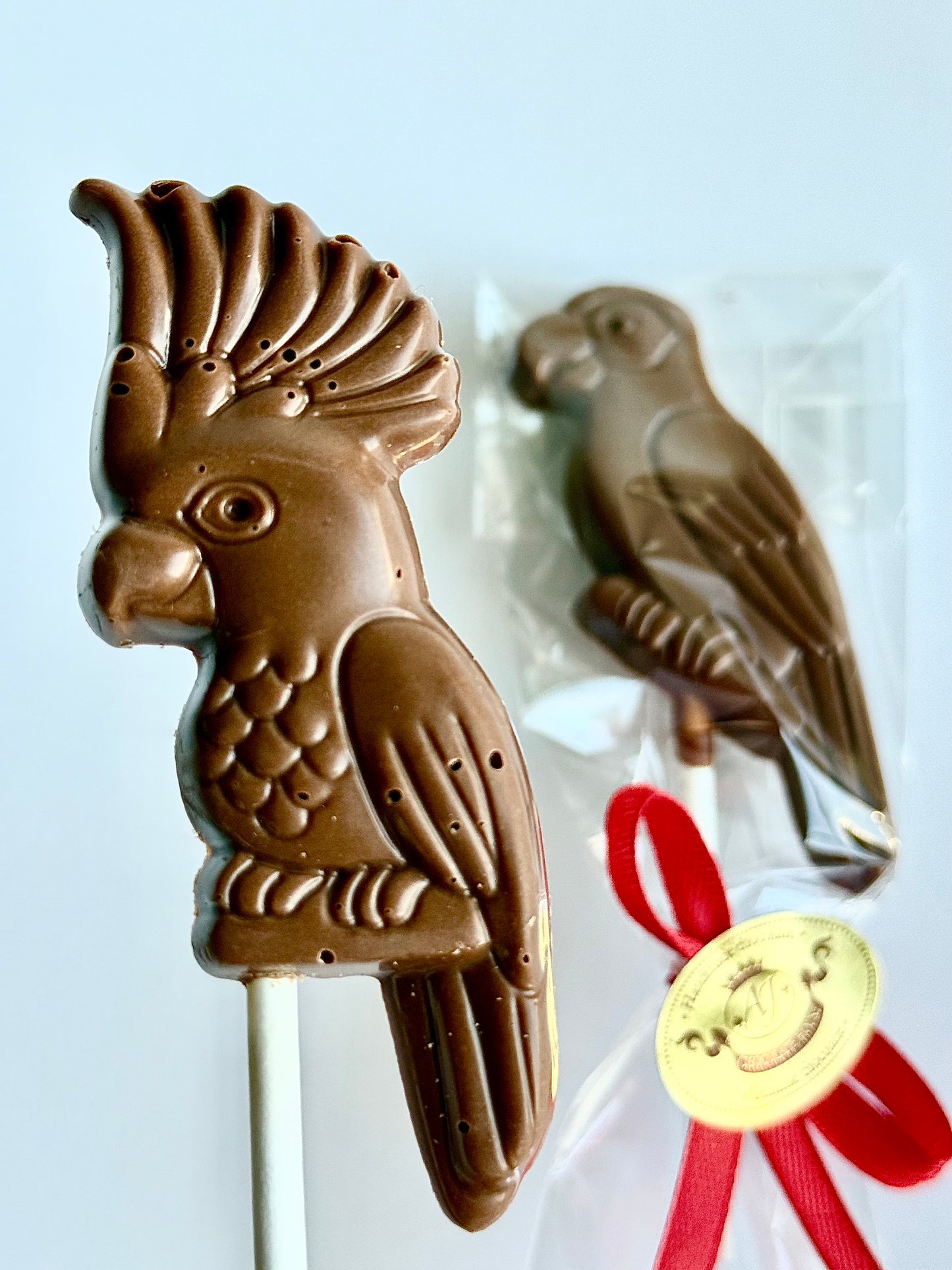 Šokoladinė papūgėlė ant pagaliuko